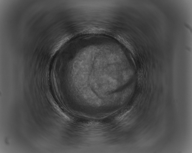 X0000096940581200802291035