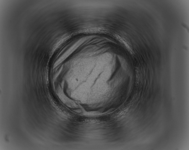 X0000096940582200802291035