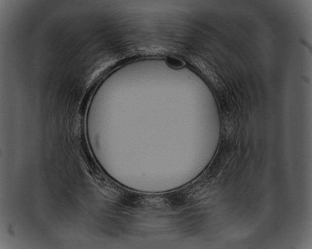 X0000096940583200802291035