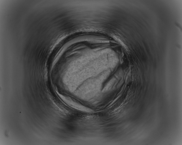 X0000096940584200802291035