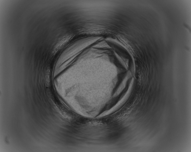 X0000096940586200802291035