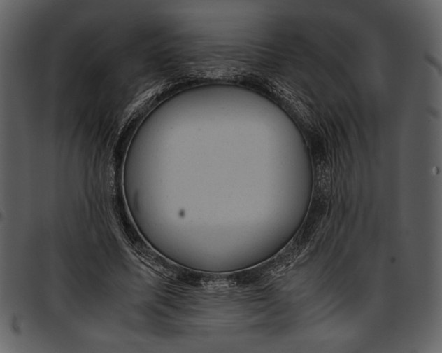 X0000096940587200802291035