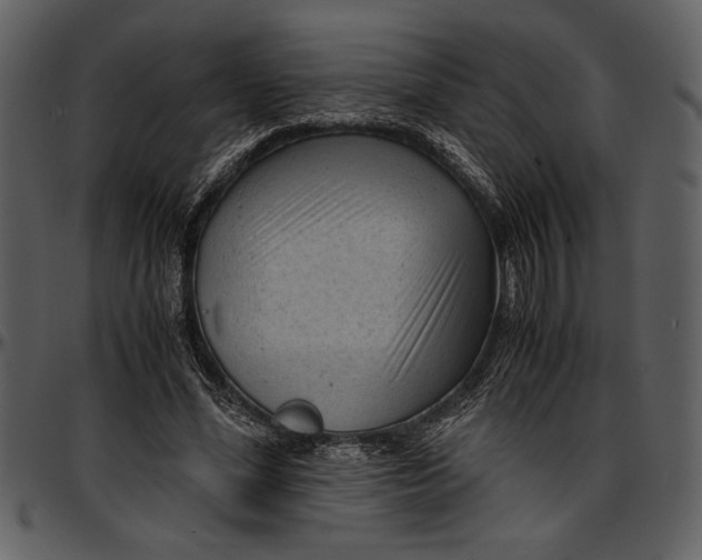 X0000096940588200802291035