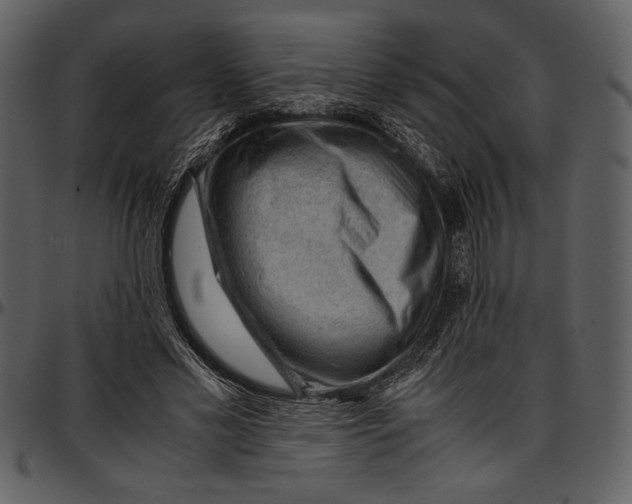 X0000096940589200802291035