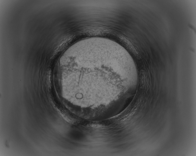 X0000096940590200802291035