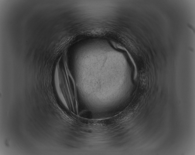 X0000096940593200802291035