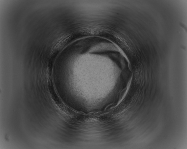 X0000096940594200802291035