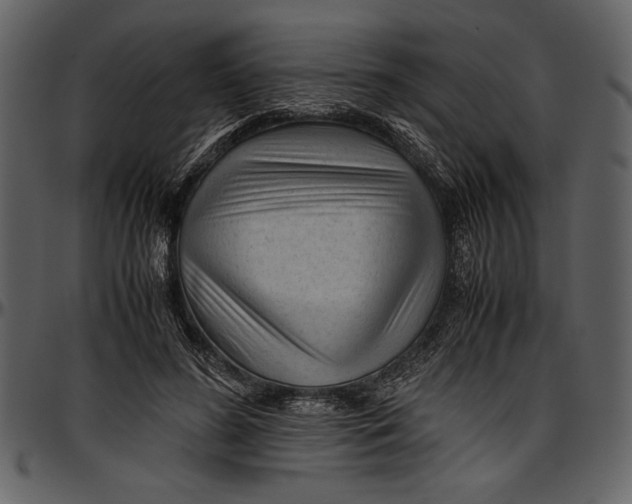 X0000096940596200802291035