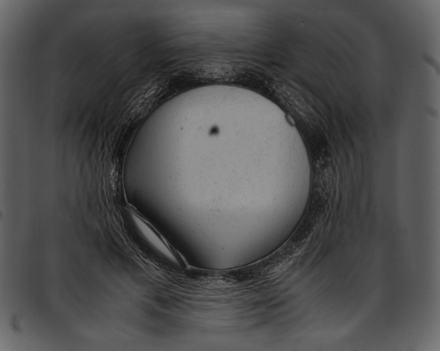 X0000096940597200802291035