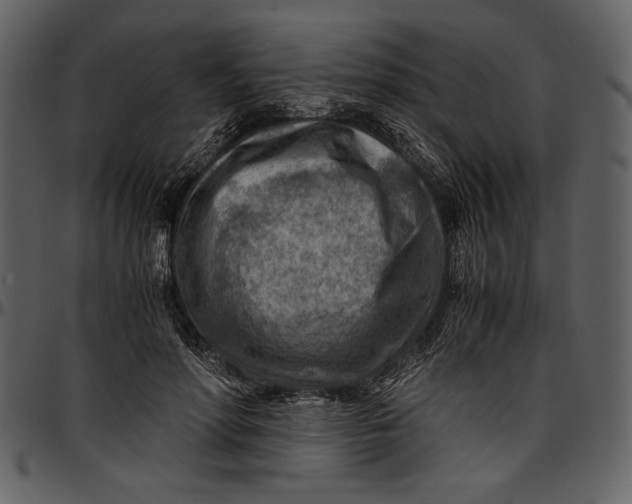 X0000096940598200802291035