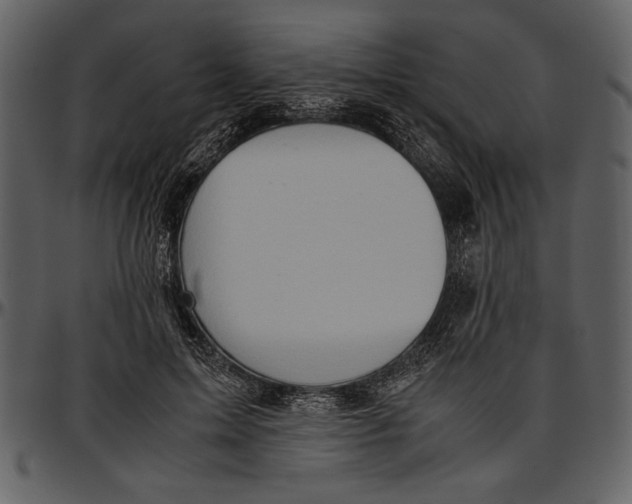 X0000096940599200802291035