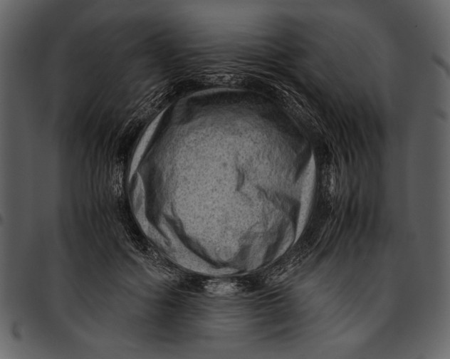 X0000096940602200802291035