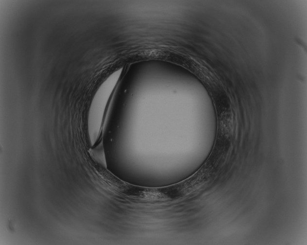 X0000096940605200802291035