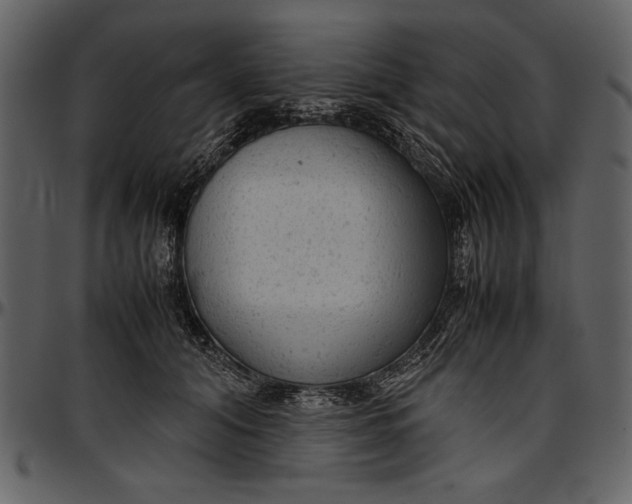 X0000096940608200802291035