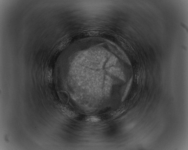 X0000096940610200802291035