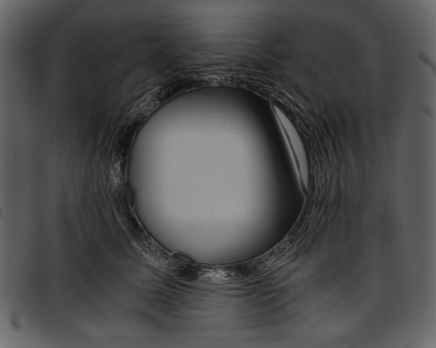 X0000096940611200802291035