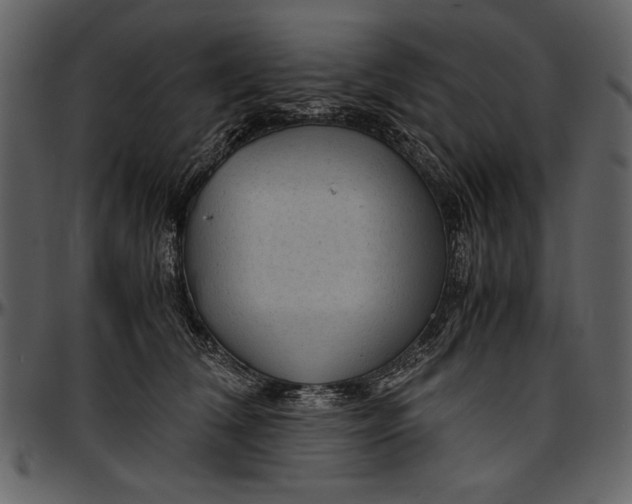 X0000096940612200802291035