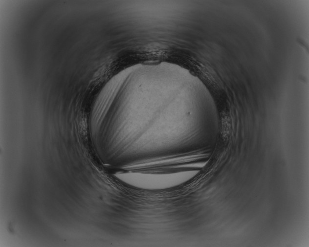 X0000096940613200802291035