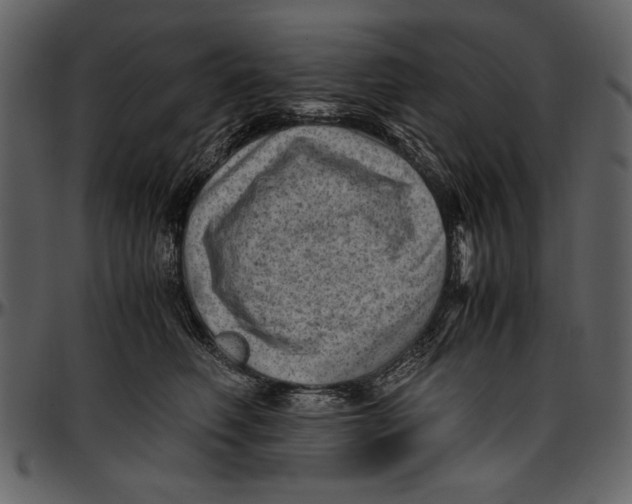 X0000096940614200802291034