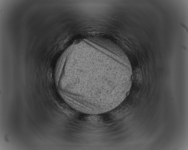 X0000096940615200802291034