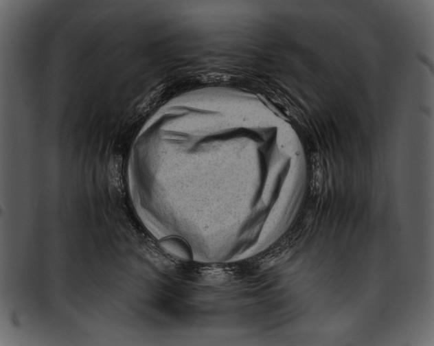 X0000096940616200802291034