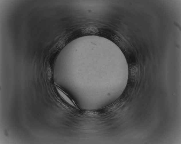 X0000096940617200802291034