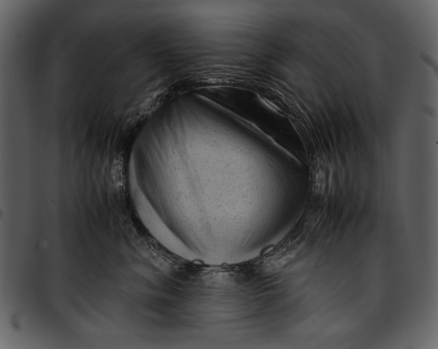 X0000096940620200802291034