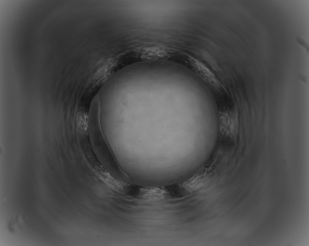 X0000096940621200802291034