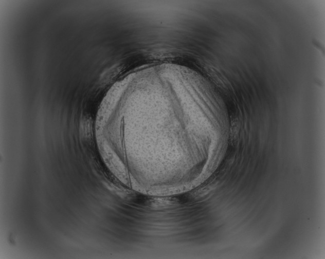 X0000096940623200802291034