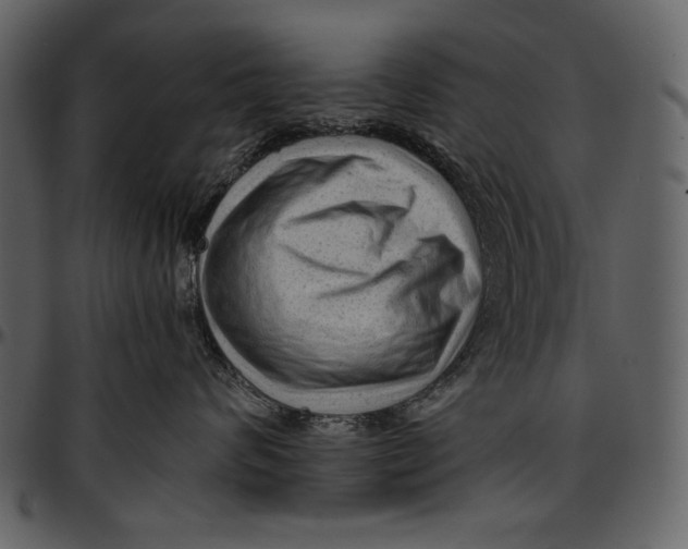 X0000096940624200802291034