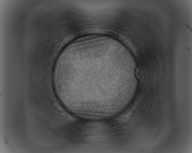 X0000096940625200802291034