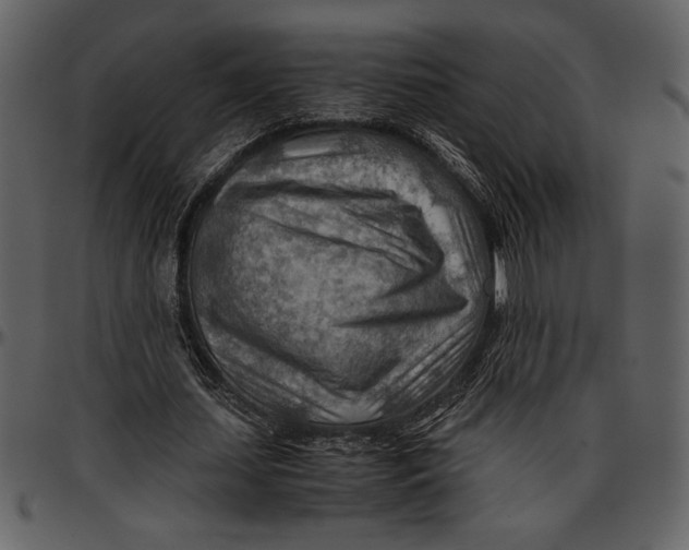 X0000096940627200802291034