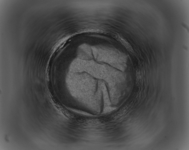 X0000096940628200802291034