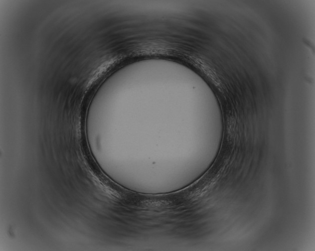 X0000096940629200802291034