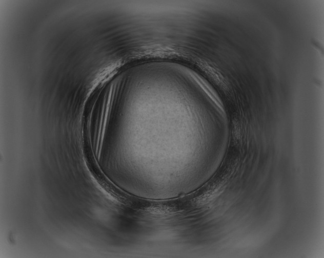 X0000096940630200802291034