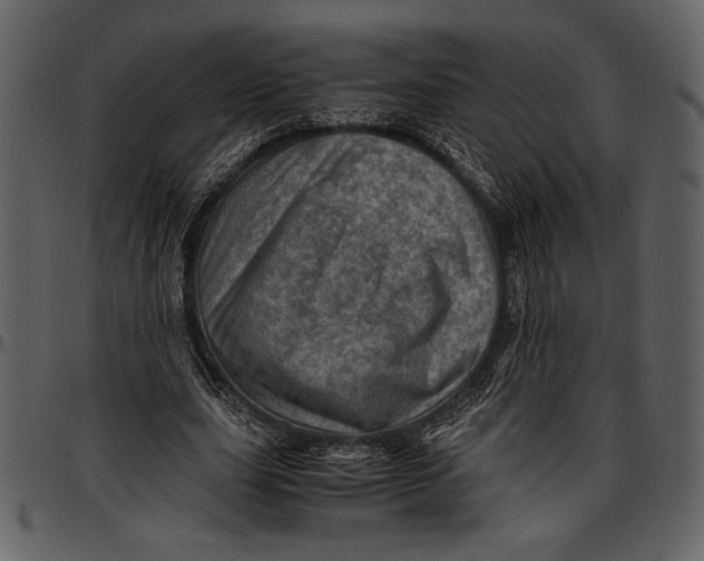 X0000096940631200802291034