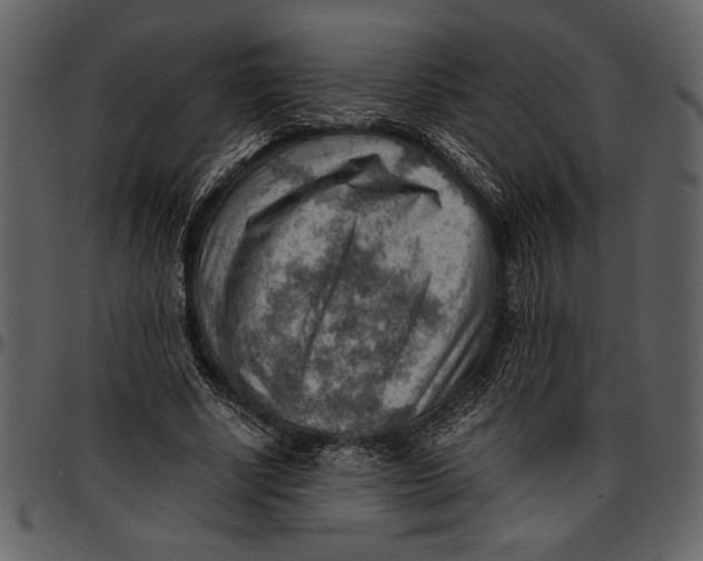 X0000096940634200802291034