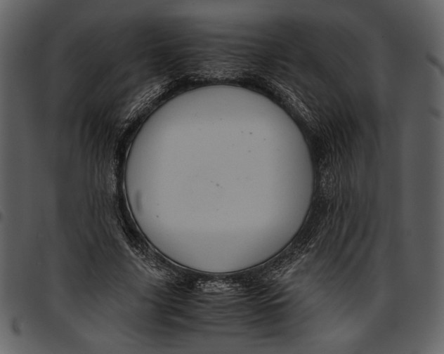 X0000096940635200802291034