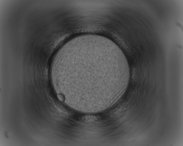 X0000096940636200802291034