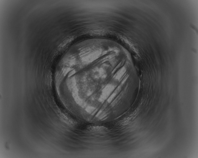 X0000096940637200802291034