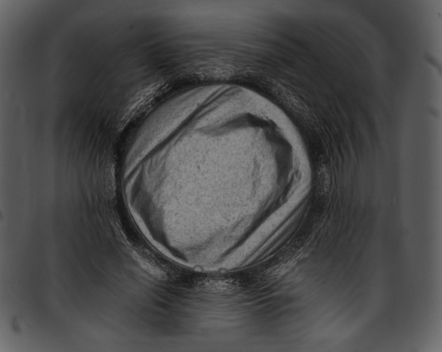 X0000096940638200802291034