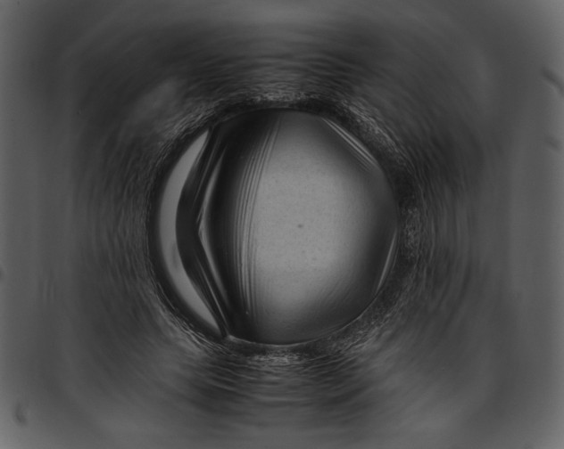 X0000096940639200802291034