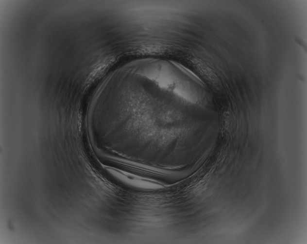 X0000096940640200802291034