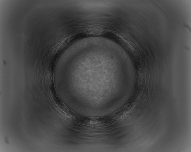 X0000096940641200802291034