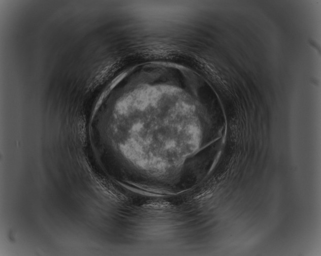 X0000096940642200802291034