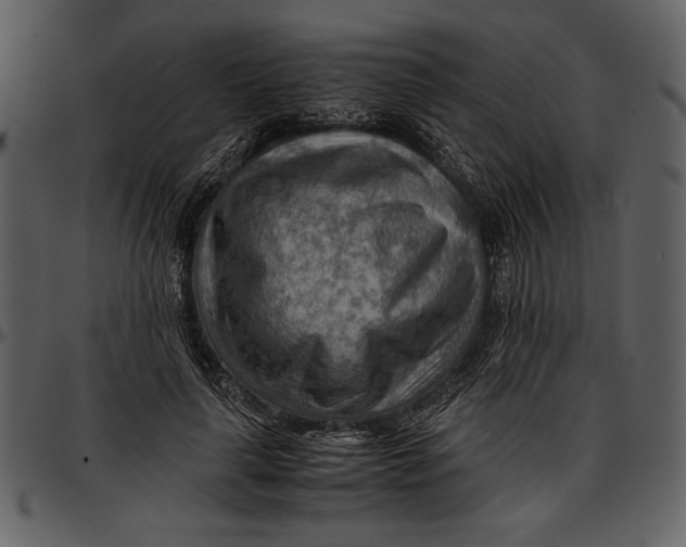 X0000096940643200802291034