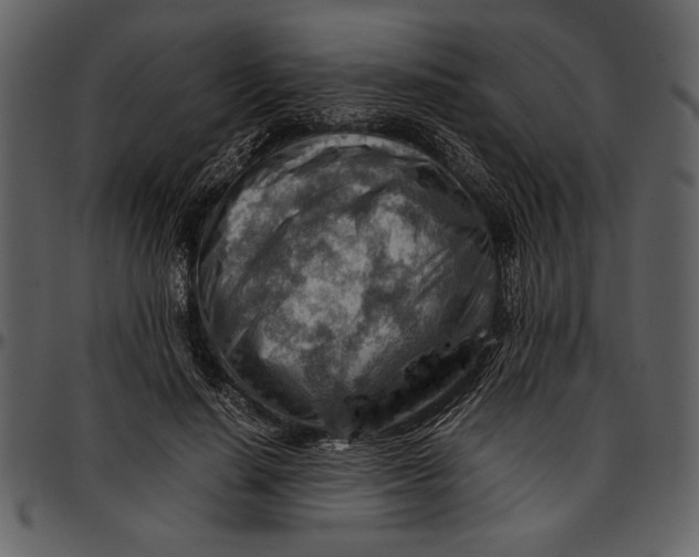 X0000096940644200802291034