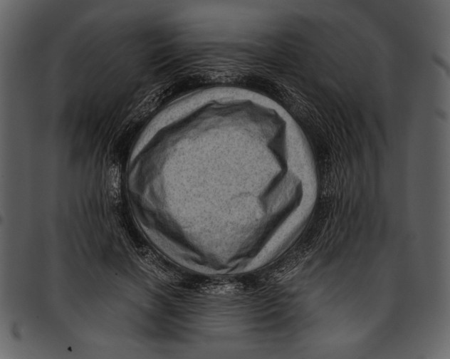 X0000096940646200802291034