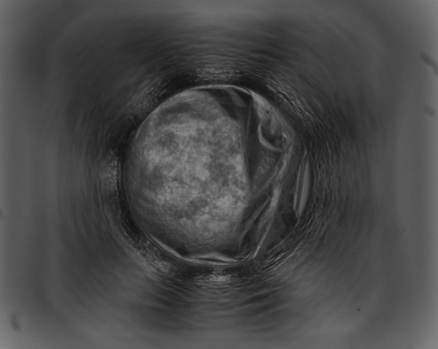 X0000096940647200802291034