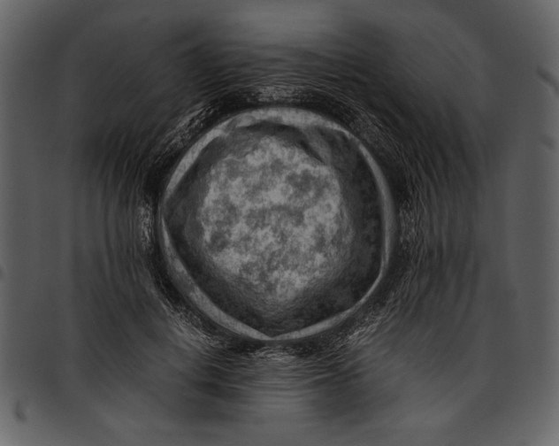 X0000096940648200802291034